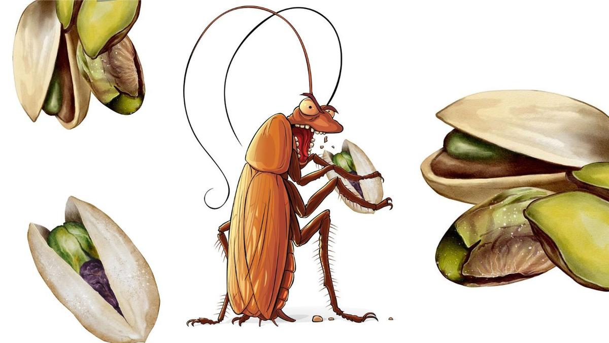 Satire | Pista and the cockroach