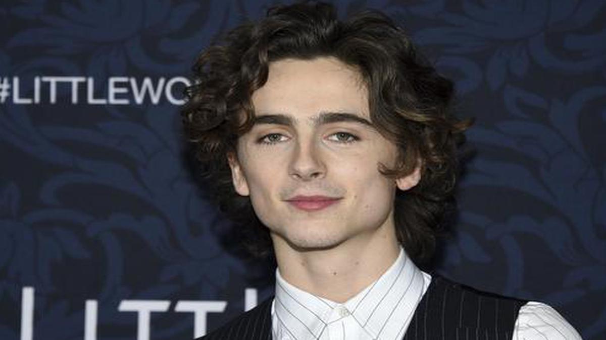 Timothee Chalamet To Play Bob Dylan In Biopic From James Mangold - The ...