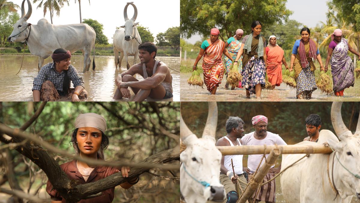 (clockwise from top left) From the sets of ‘Bison Kaalamaadan’: Rajisha Vijayan and Dhruv Vikram; Rajisha and Anupama Parameswaran; Mari Selvaraj, Pasupathy and Dhruv; Anupama (clockwise from top left) From the sets of ‘Bison Kaalamaadan’: Rajisha Vijayan and Dhruv Vikram; Rajisha and Anupama Parameswaran; Mari Selvaraj, Pasupathy and Dhruv; Anupama