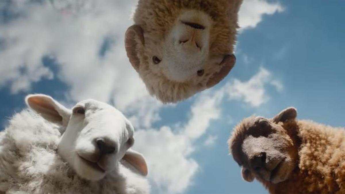 A still from ‘The Sheep Detectives’