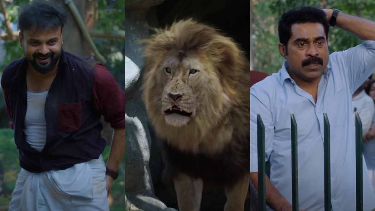 ‘Grrr’ trailer: Suraj Venjaramoodu must save Kunchacko Boban from a lion in this comedy-drama