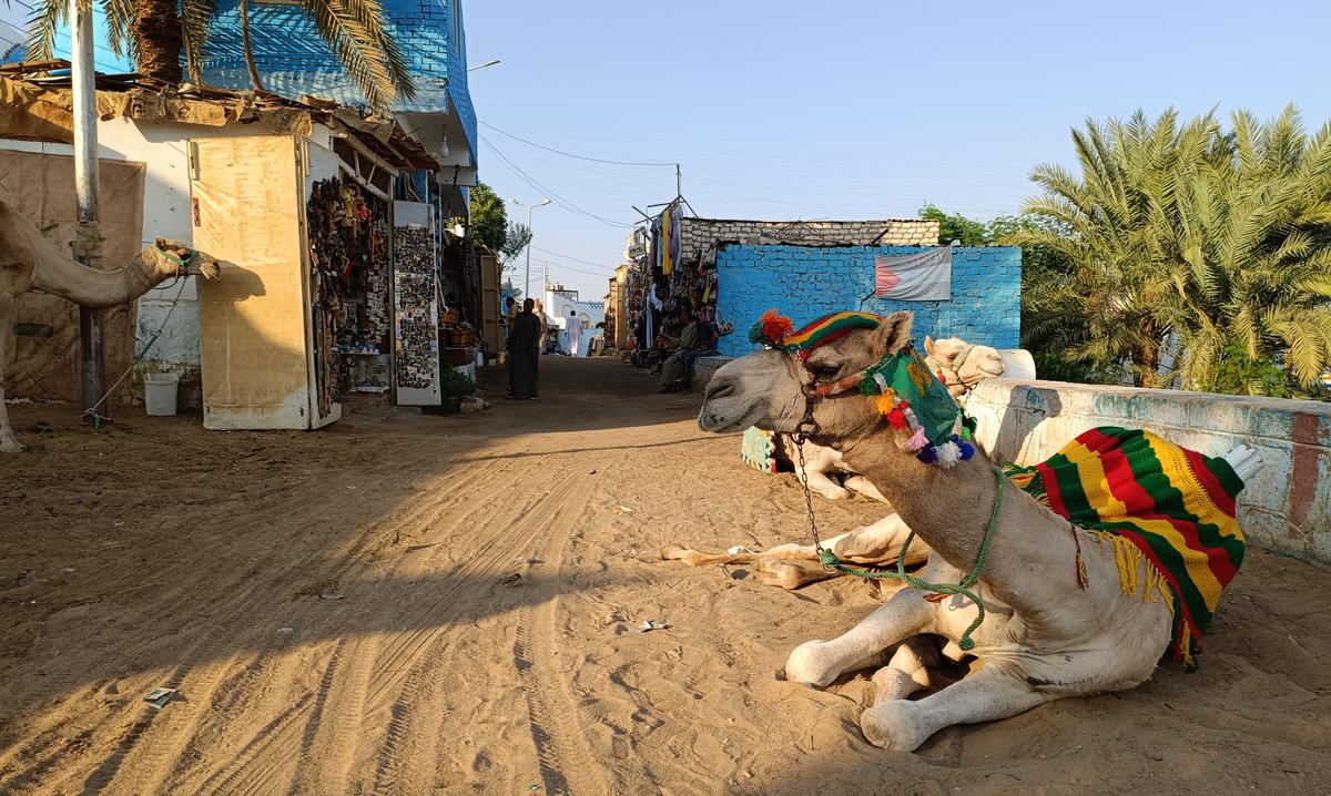 A view of a Nubian village in Egypt