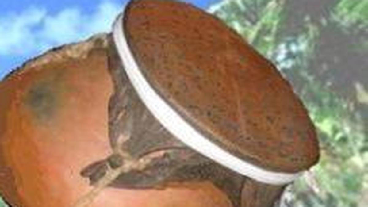 Ghumot, a popular folk instrument with rich history The Hindu