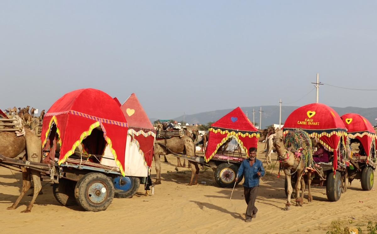 The camel cart rides in Pushkar, Rajasthan, offer a classic desert experience. 