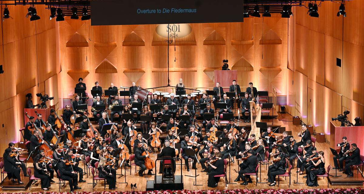 Zubin has performed in Mumbai with the Munich, Israel and Vienna Philharmonic orchestras, among others.