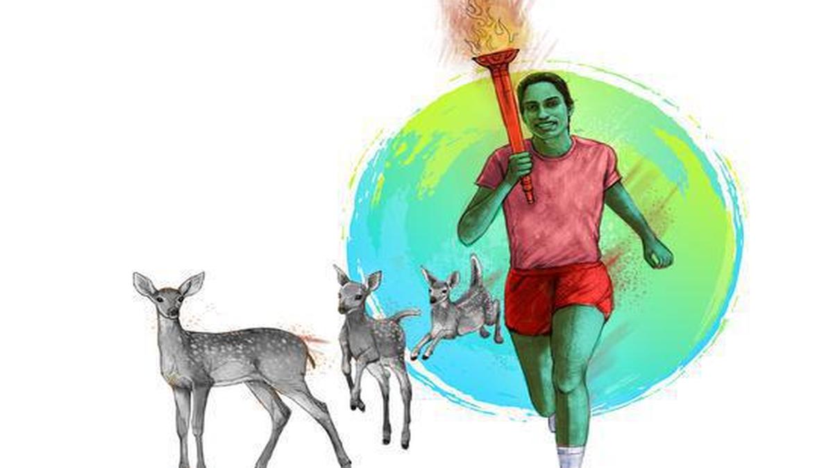 The torch song flashback 34 years The Hindu