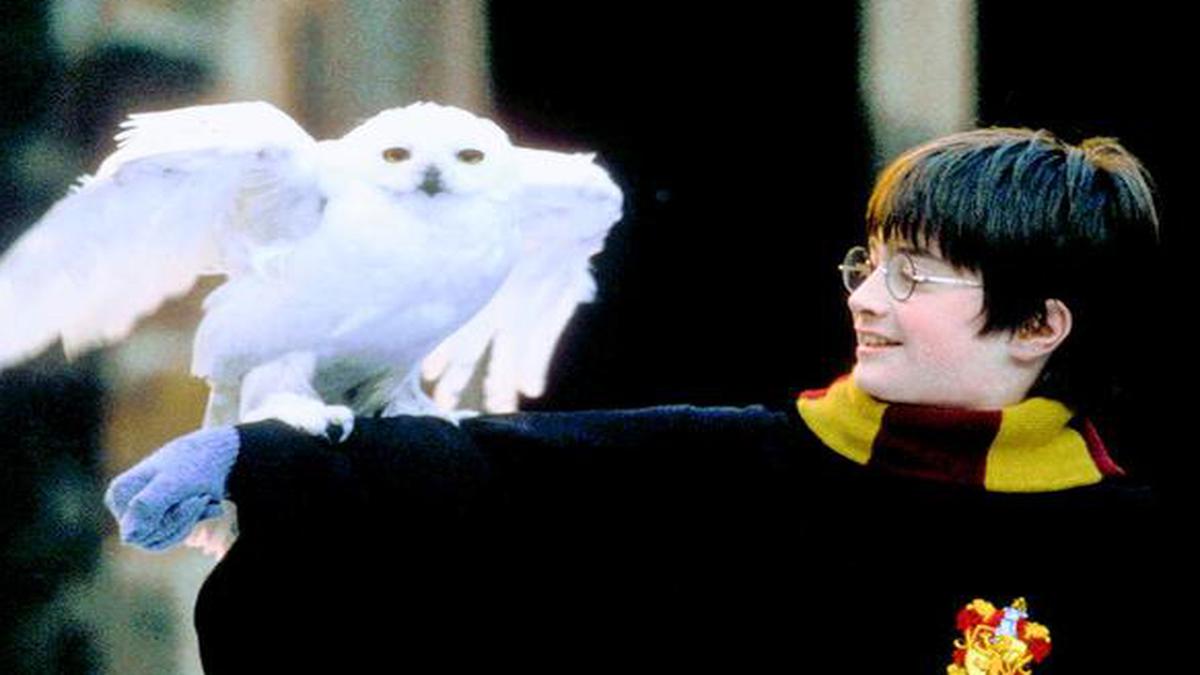 How ‘Harry Potter’ and J.K. Rowling are giving hope to people during ...