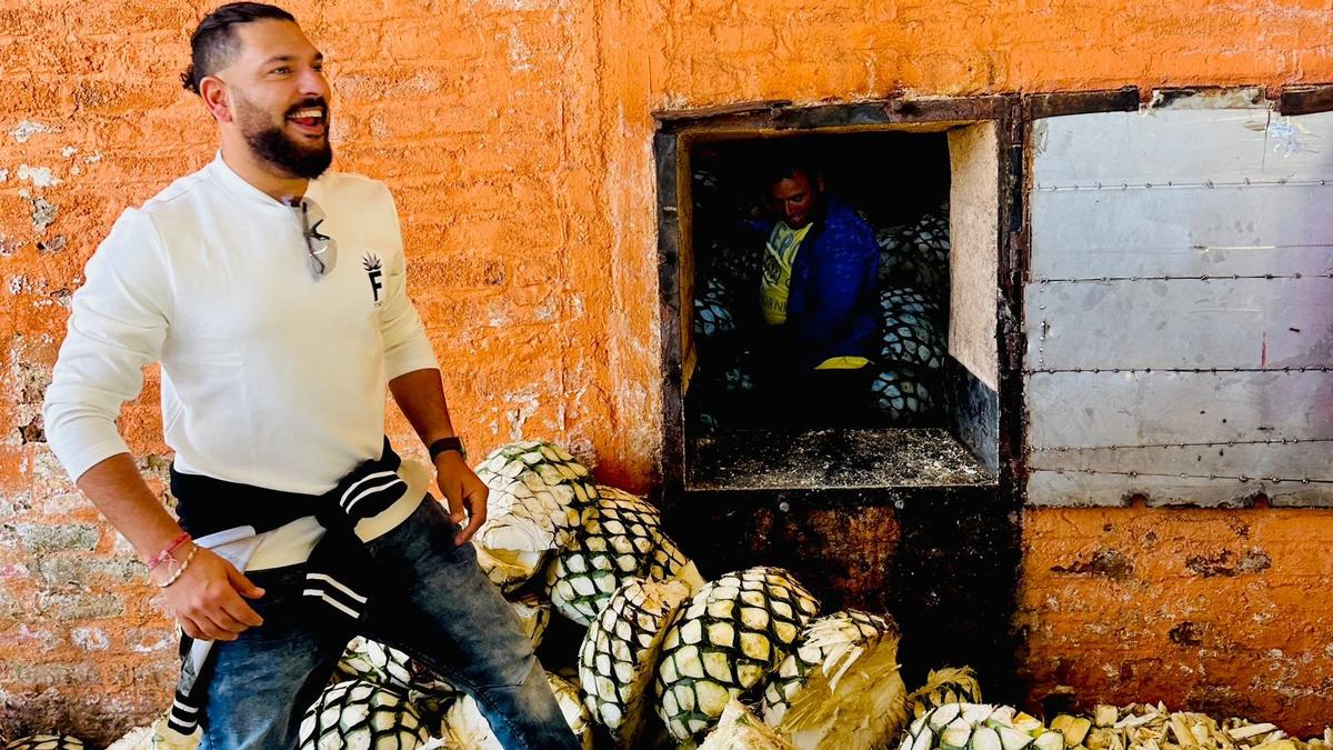 Yuvraj Singh on his appreciation for Tequila, and the craftsmanship behind his spirit brand, FINO