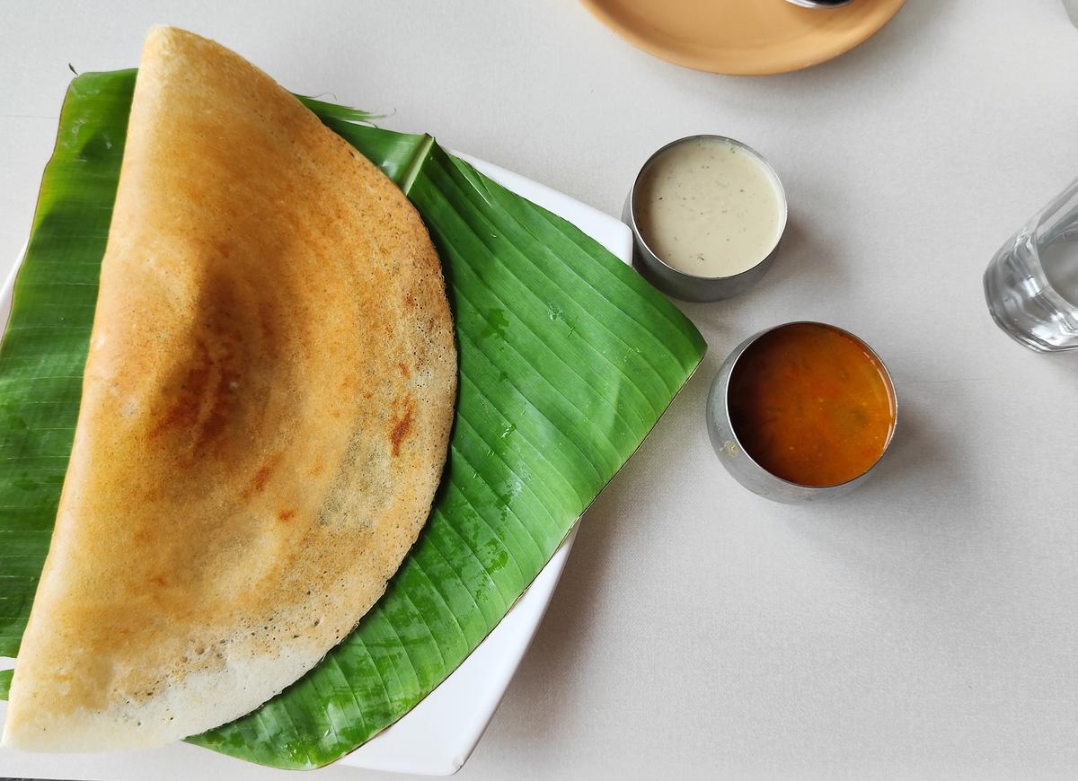 Masala dosa at Hotel Paradise