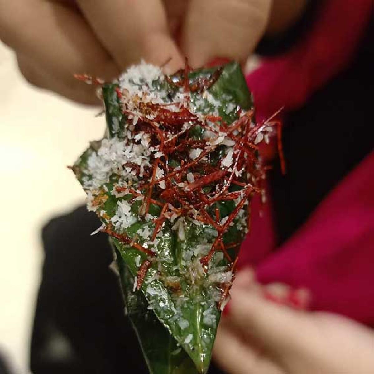 Meetha paan Meetha paan