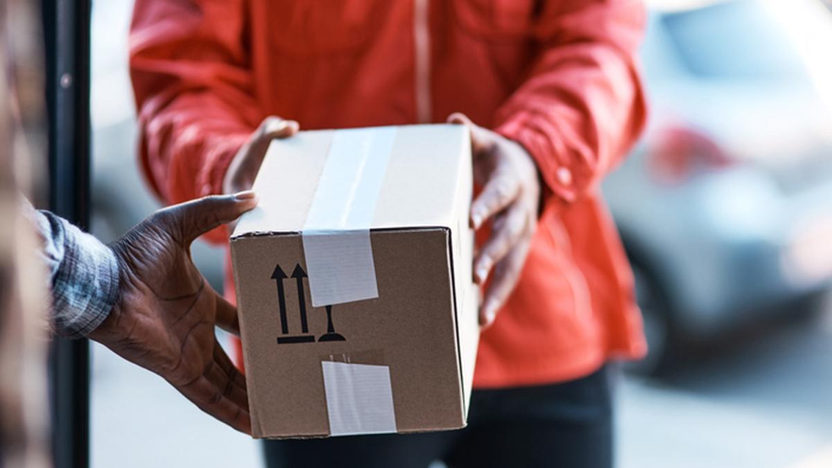 ED searches in Nagaland human hair export FEMA case