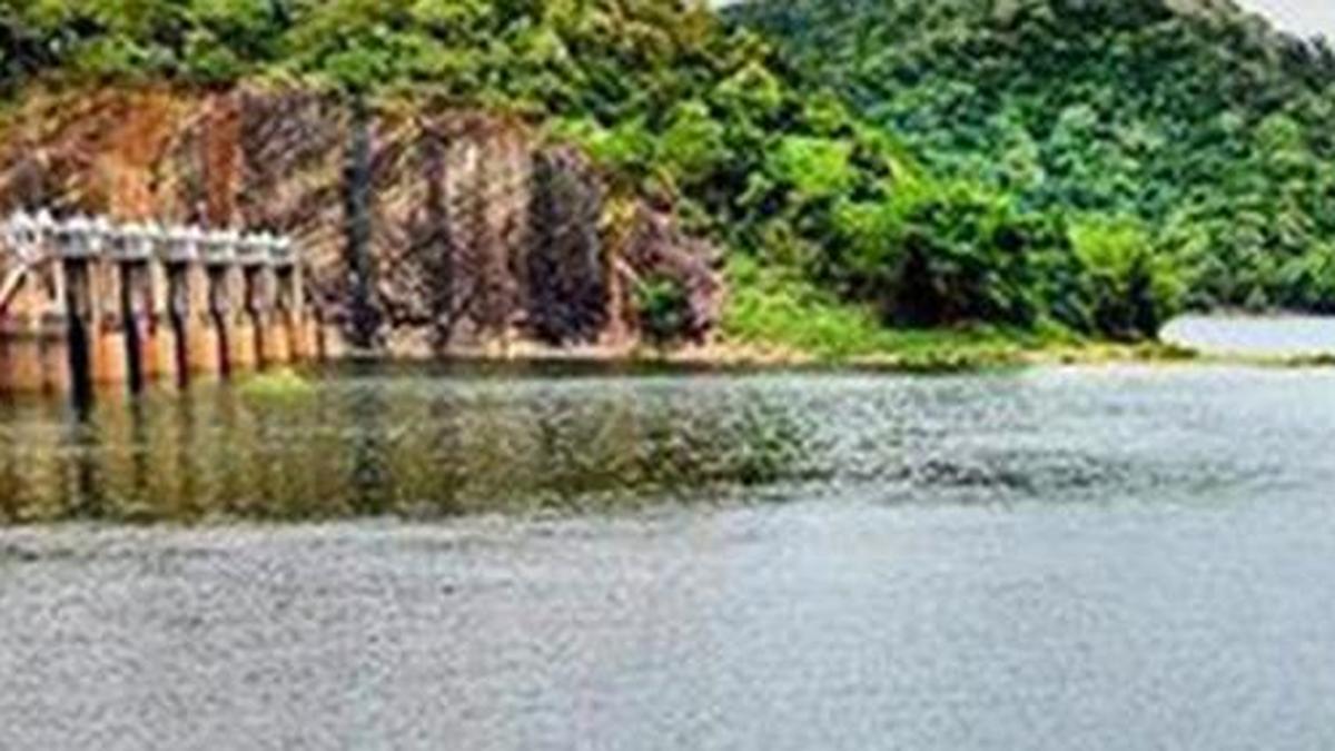 Water level in Papanasam dam stands at 44.60 feet