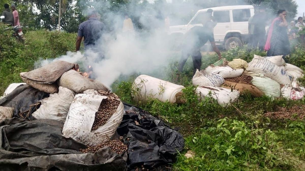 95% conviction rate in prohibition offences since July 2024, say Tamil Nadu police