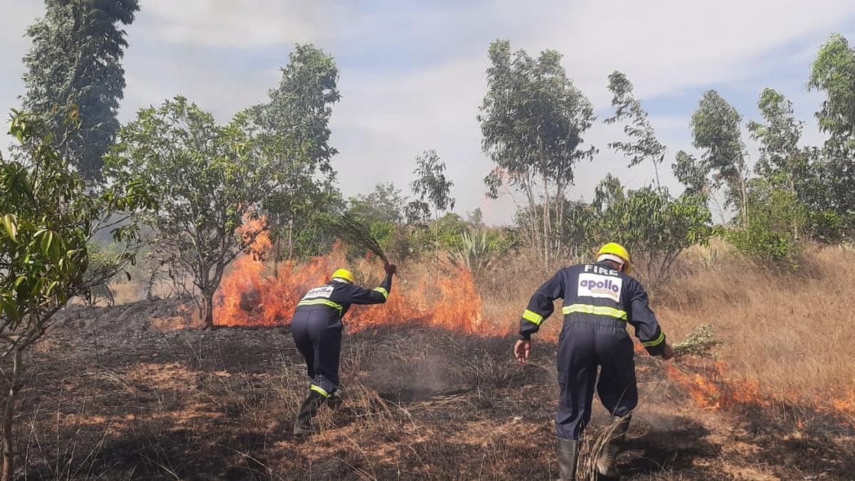 Cigarette butts of boozers and gamblers causing field fires in Chittoor and Annamayya districts