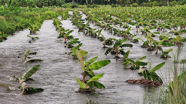 Top Tamil Nadu news developments today