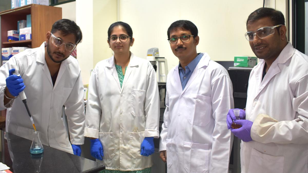 Scientists develop enzyme mimetic with potential applications in wastewater treatment, healthcare