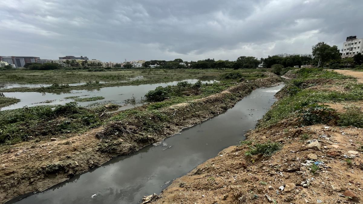 Rain puts the brakes on rejuvenation of lakes