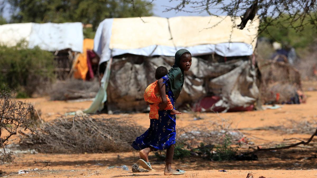 43,000 estimated dead in Somalia drought last year: report