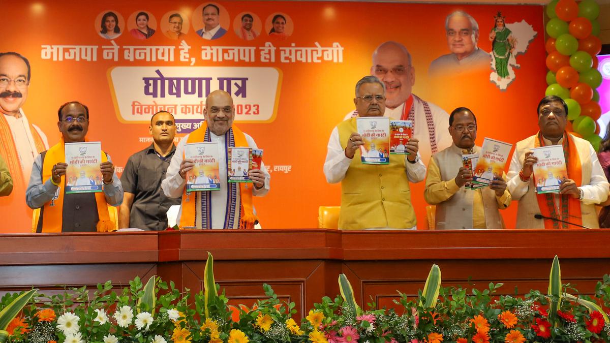 BJP Chhattisgarh manifesto promises Ayodhya pilgrimage, financial assistance for women et al