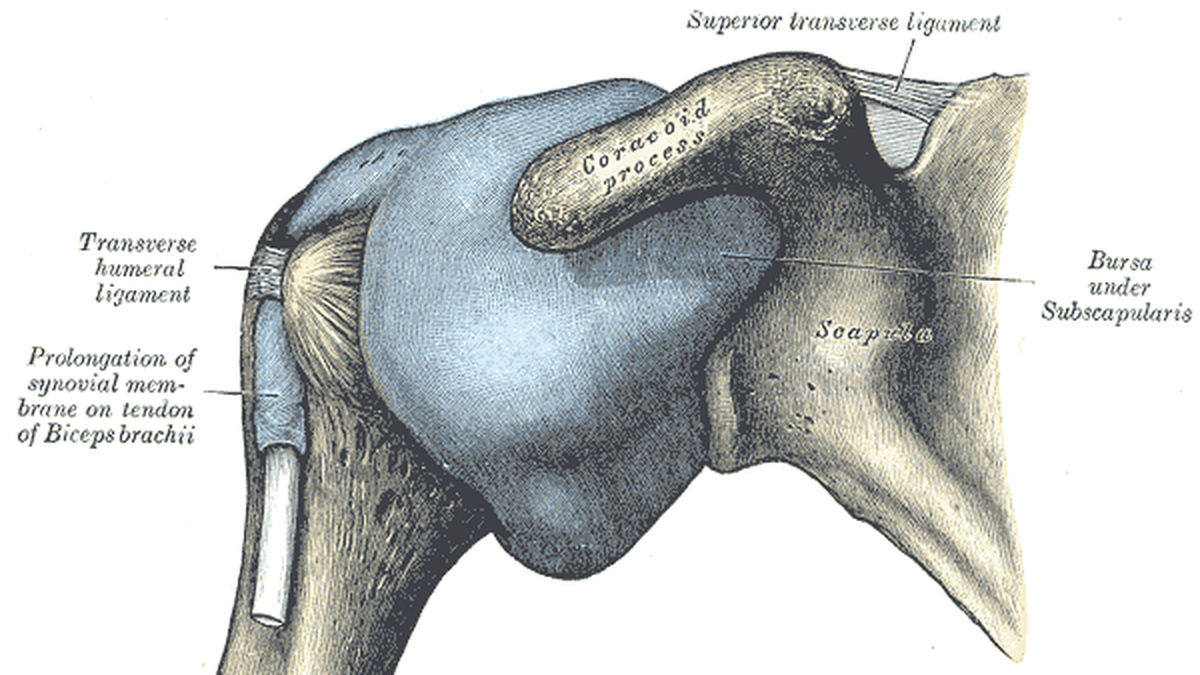 Desk-bound employees increasingly prone to frozen shoulder, say experts