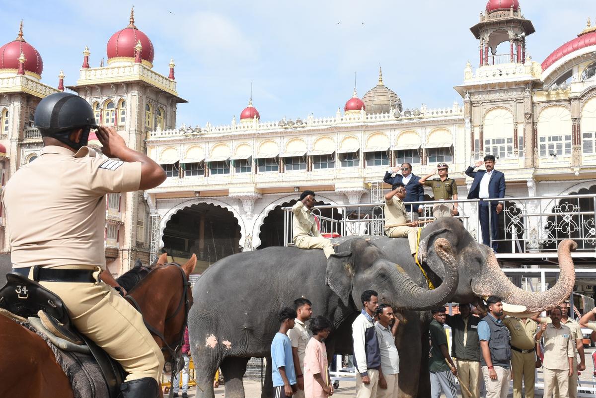 Mysuru Dasara elephants poised to carry forward the golden legacy - The  Hindu