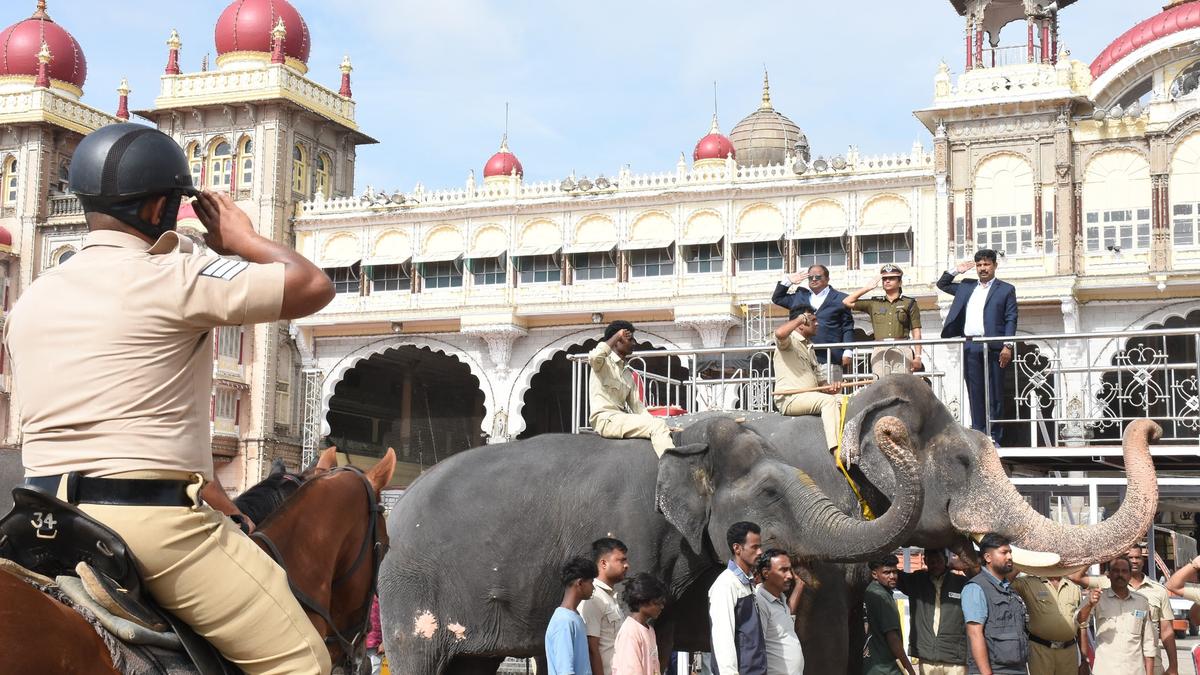 Elephants of Mysuru Dasara poised to carry forward the golden legacy - The  Hindu