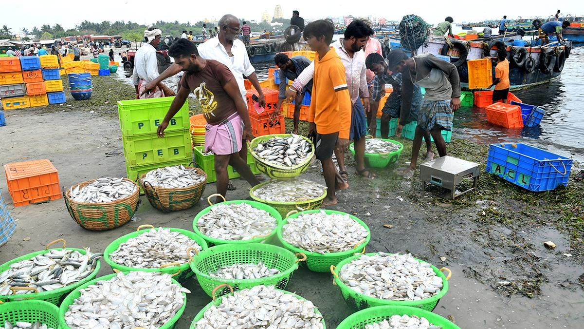 Sri Lanka releases 42 Indian fishermen from Tamil Nadu; likely to reach home in four days