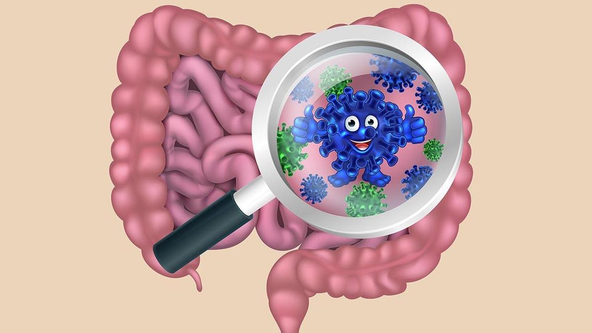 Indo-German study links gut bacteria imbalance to memory, cognitive decline