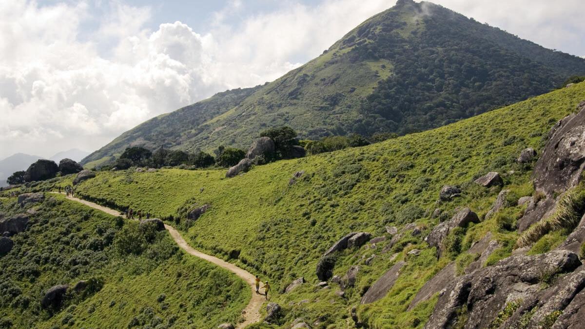 Forest Department yet to decide on early trekking season at Vellingiri hills in Coimbatore this year