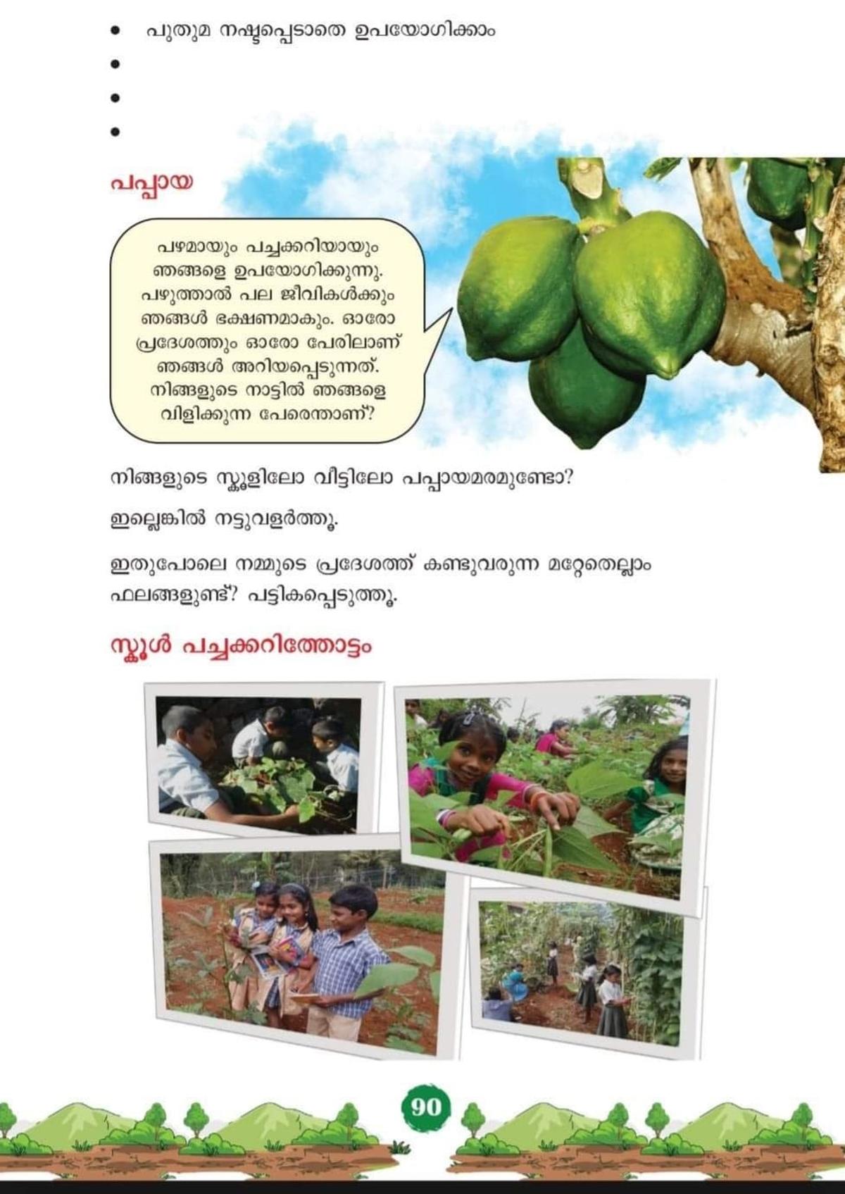 इडुक्की में पझायाविदुथि सरकारी उच्च प्राथमिक विद्यालय को केरल पाठ्यक्रम की पाठ्य पुस्तक में दर्शाया गया है। 