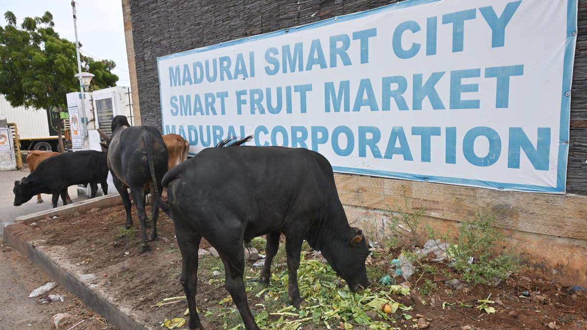 HC imposes cost on Madurai Corporation for not taking necessary steps for proper waste disposal at Smart Fruit Market