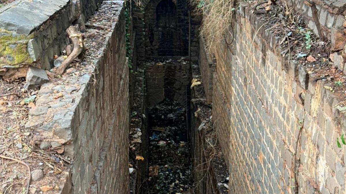 Volunteers begin reviving abandoned stepwell at Mutga in Belagavi