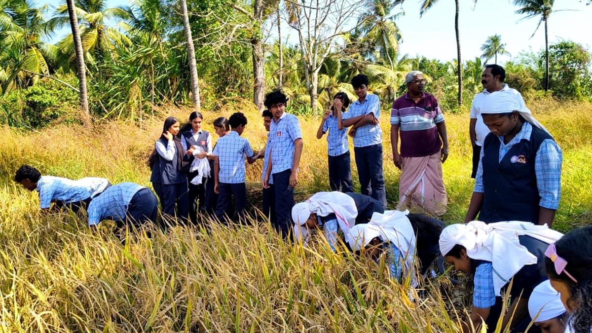 Twin joys from students’ farming efforts in Thrissur