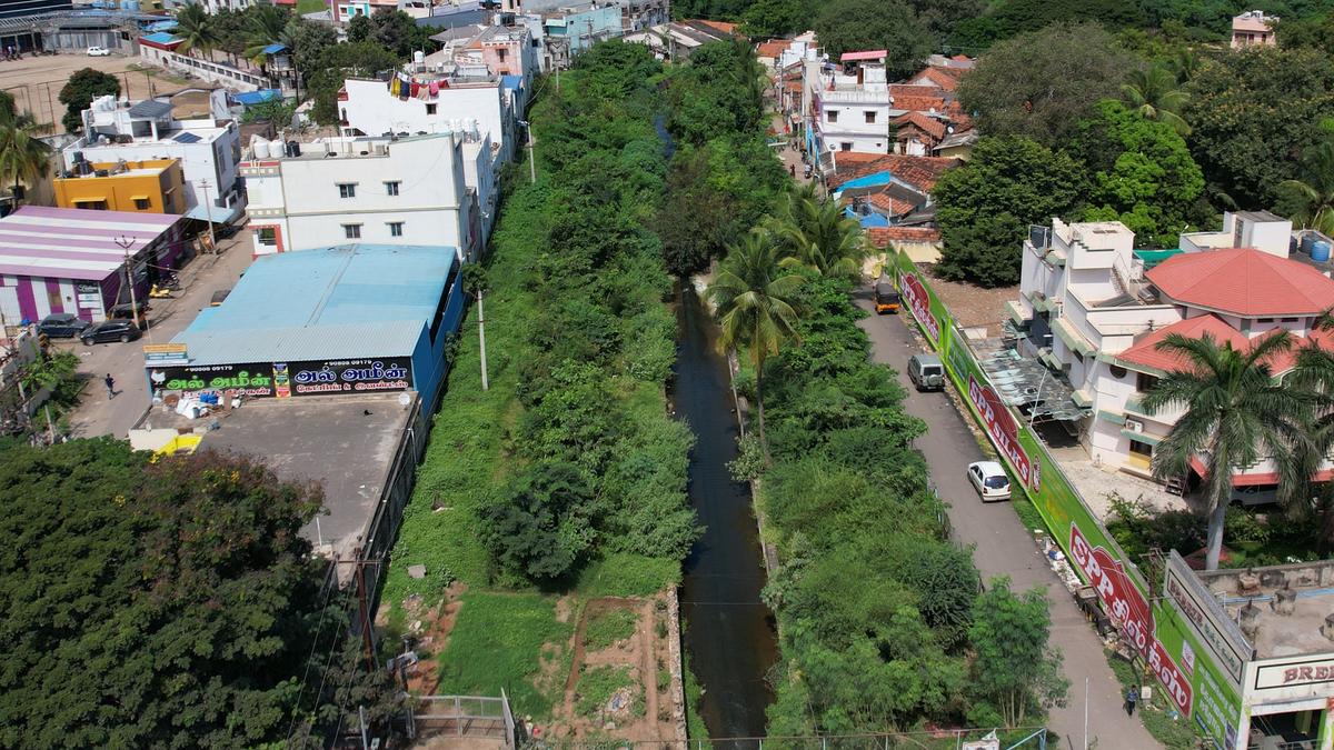 Coimbatore NGO turns debris dumping site near Kurichi tank into mini forest