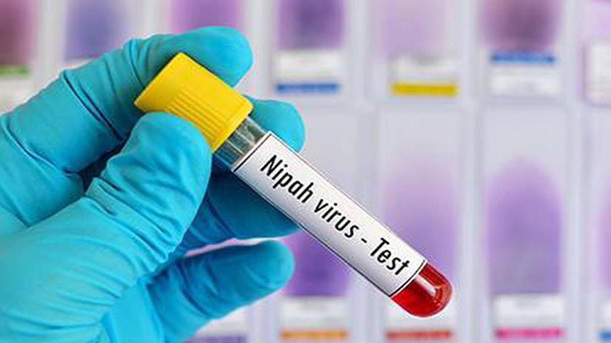 喀拉拉邦马拉普兰地区疑似尼帕病毒病例引发恐慌