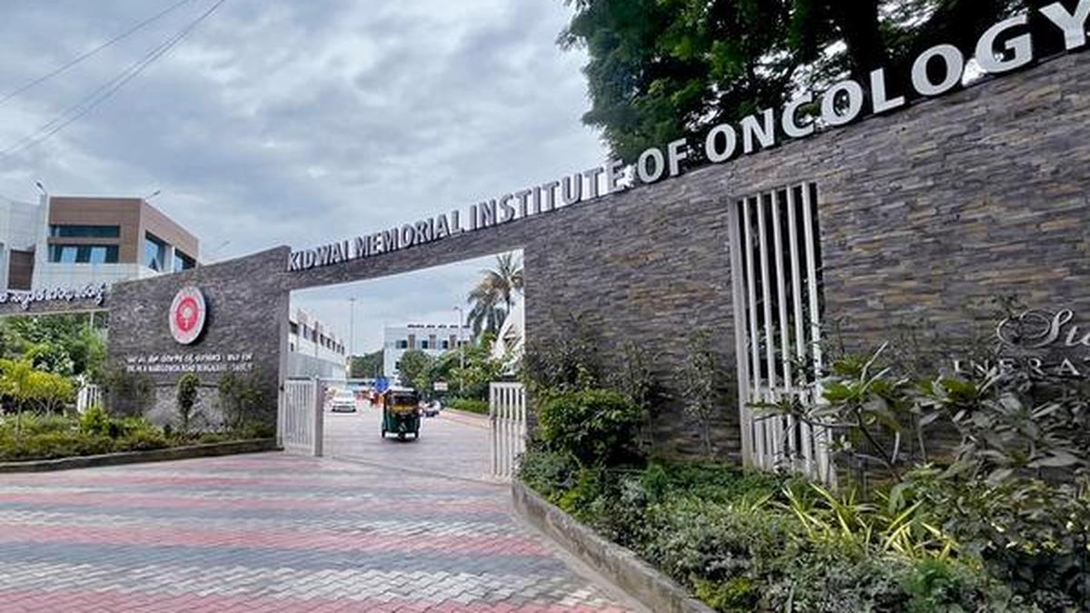 Kidwai performs successful bone marrow transplantation on child with single kidney