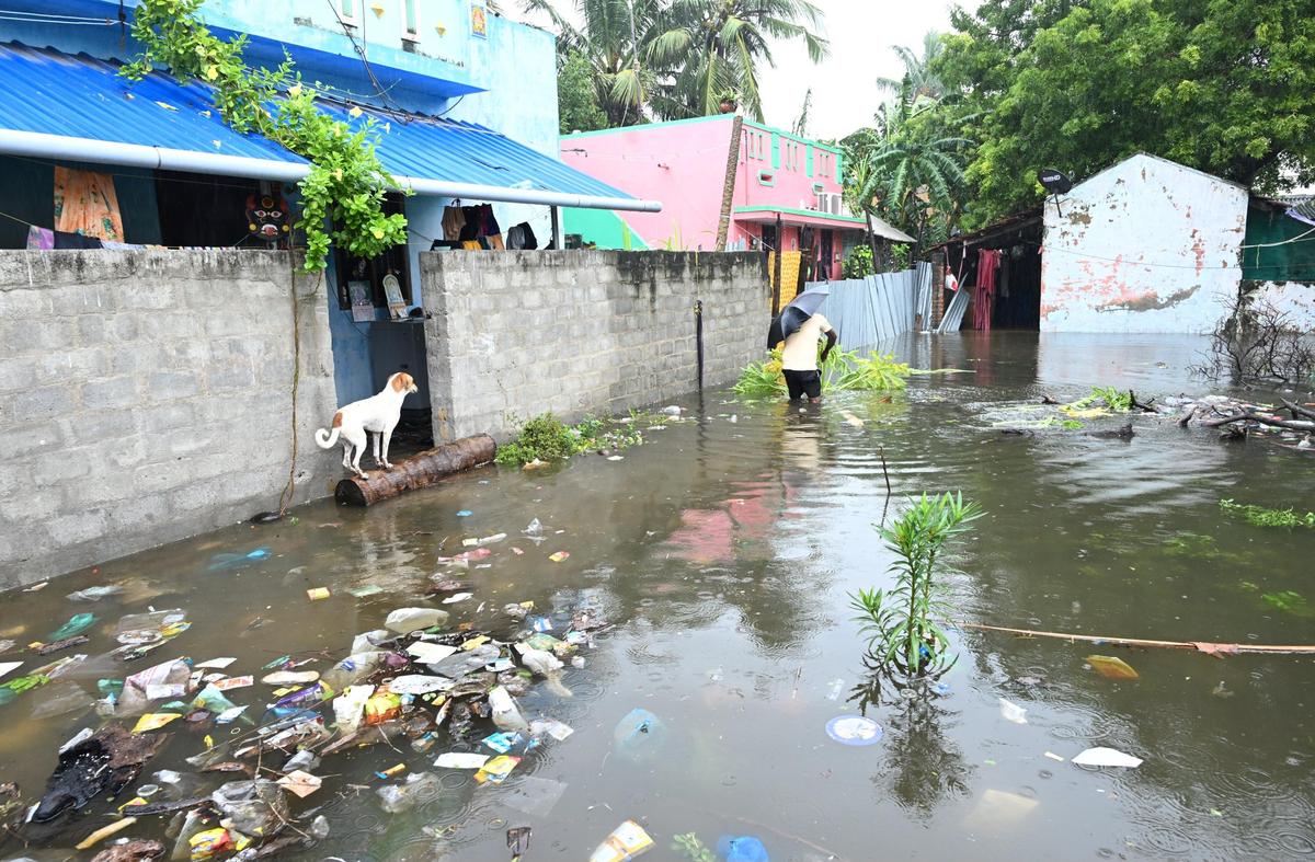 Residents fear that rainwater mixed with sewage entered houses in Rameswaram on Saturday. 
