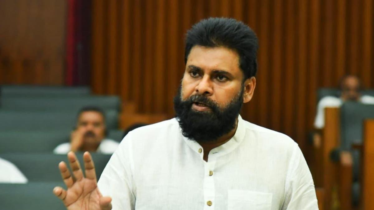ZP elections will be organised on the basis of reorganised districts, says Deputy CM Pawan Kalyan&nbsp;