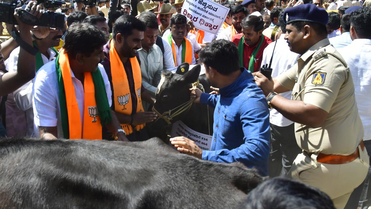 Police book nine BJP workers for alleged cruelty to cows