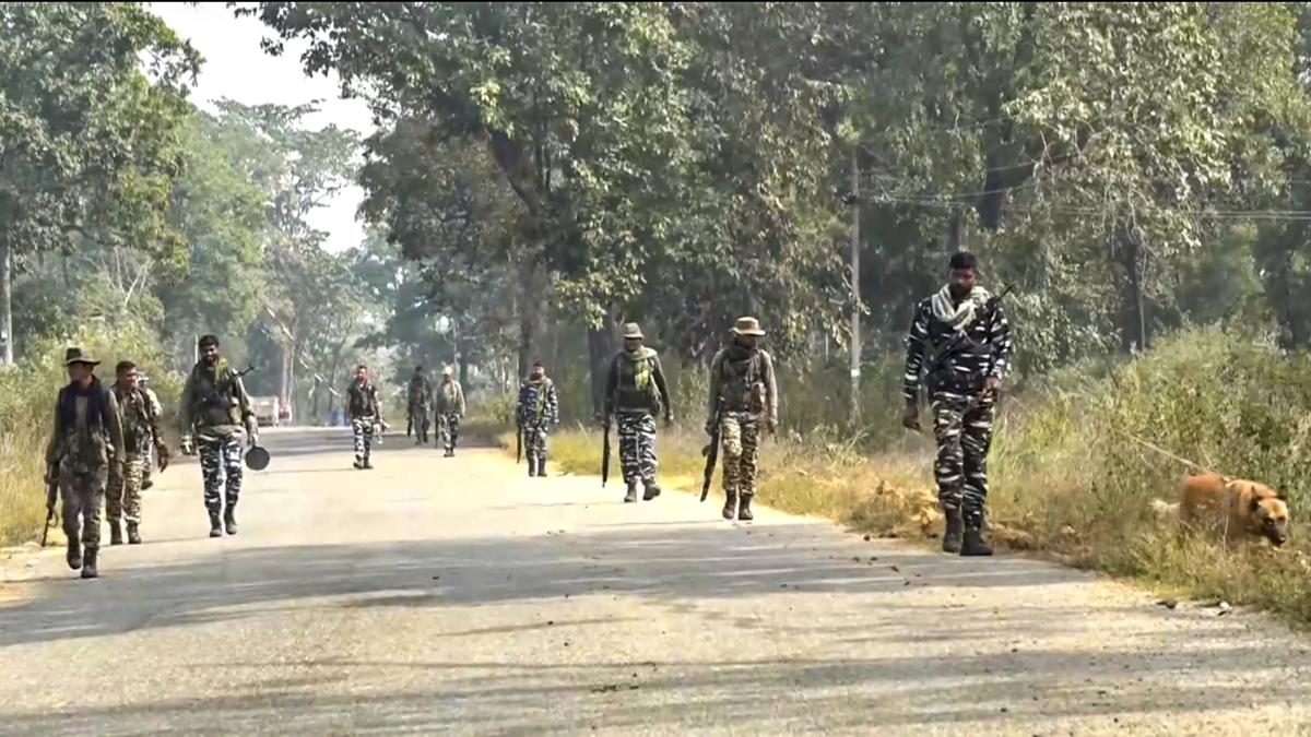 12 Maoists killed in encounter with security forces in Chhattisgarh's Bijapur