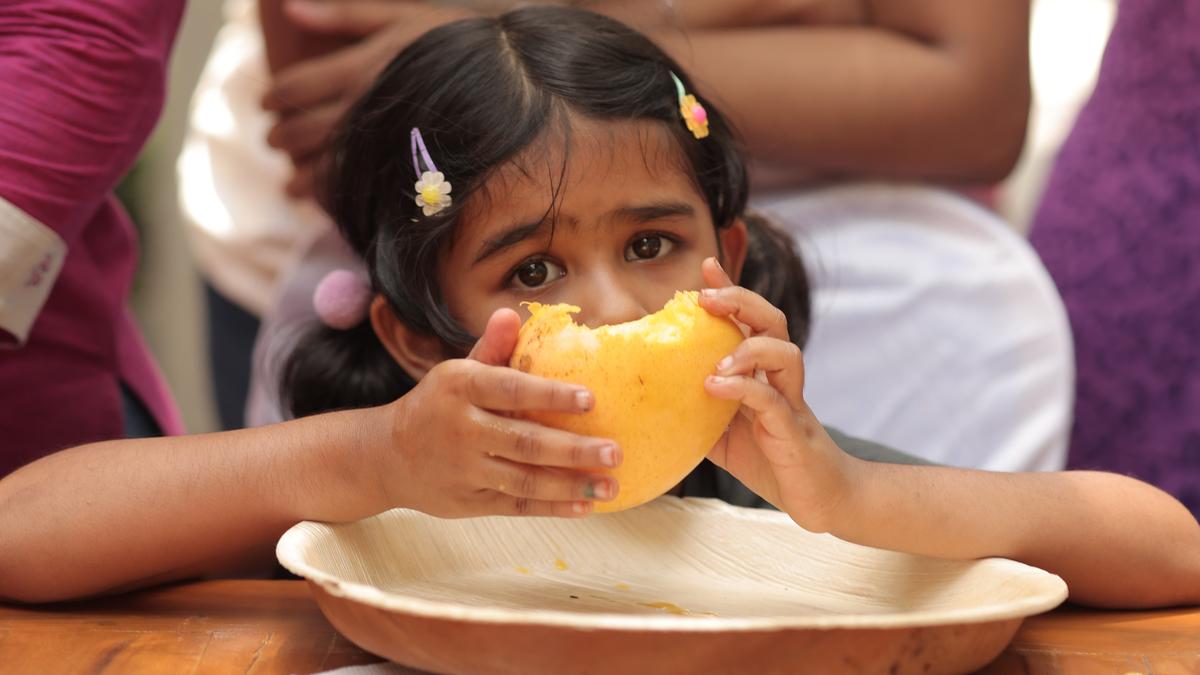 Mango mania in Chennai: Where to indulge in organic varieties this summer