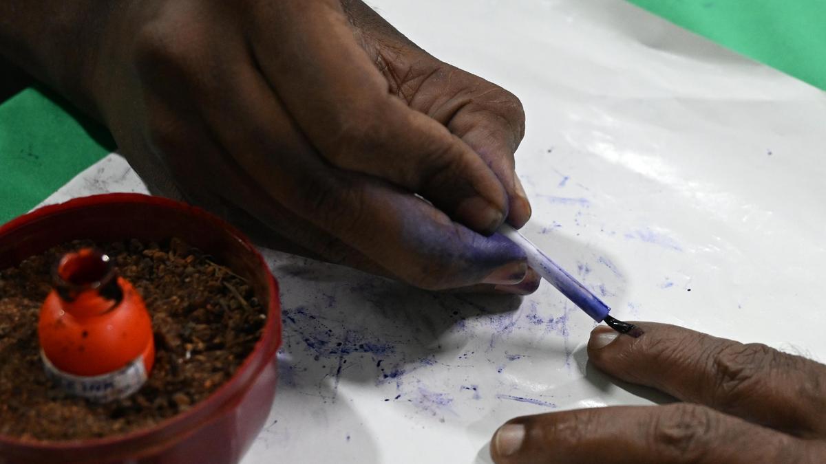 About 25 foreign nationals arrested for fraudulent voting in Tamil Nadu Assembly poll