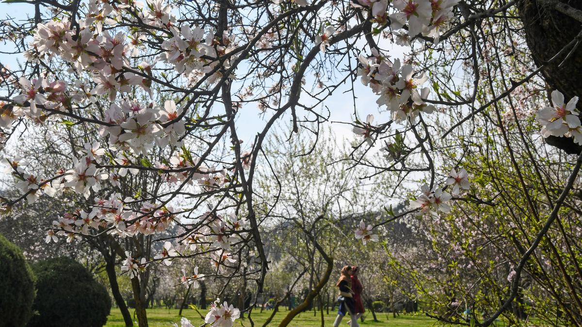 Study reports evidence of ‘missing’ spring in India