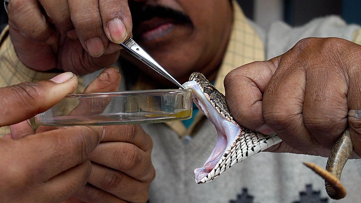 Foundation laid for antivenom research centre in Bengaluru