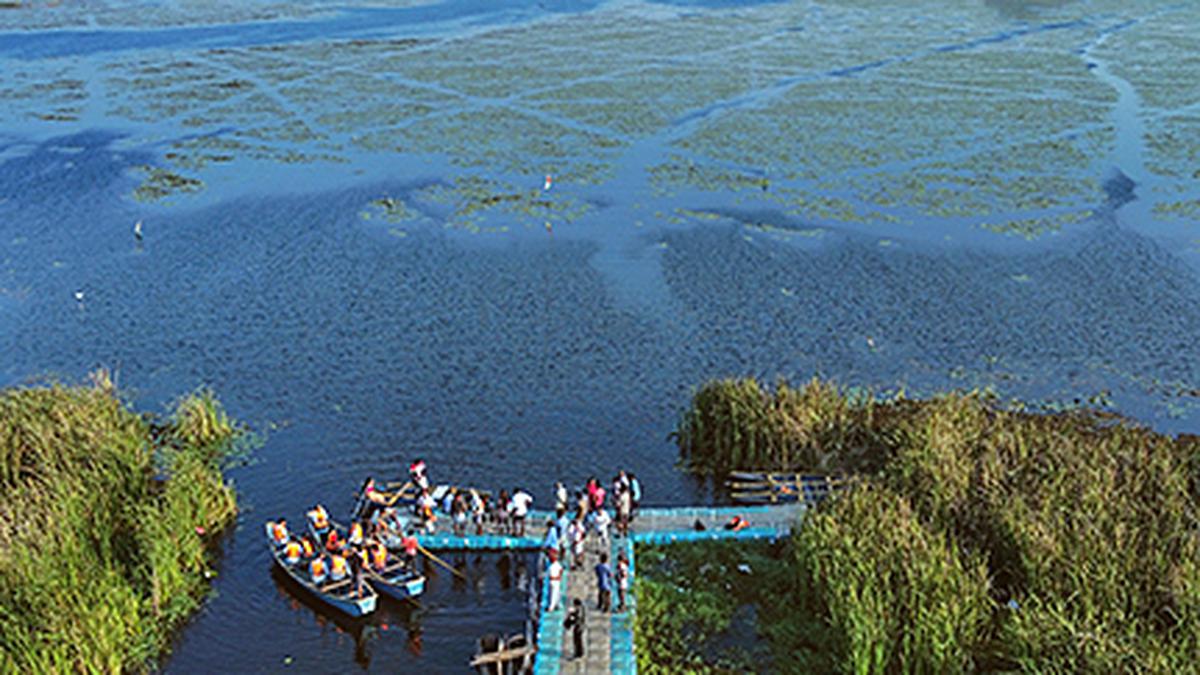 World Wetlands Day: In Andhra Pradesh, efforts on to save a unique wetland near Visakhapatnam