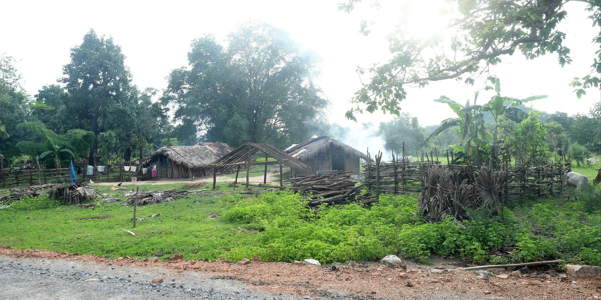 Facing a hurdle: The villagers had to face a linguistic barrier in their fight for justice as all of them hail from the Gond tribe and Gondi is their mother tongue. However, Hindi is the preferred language in court proceedings.