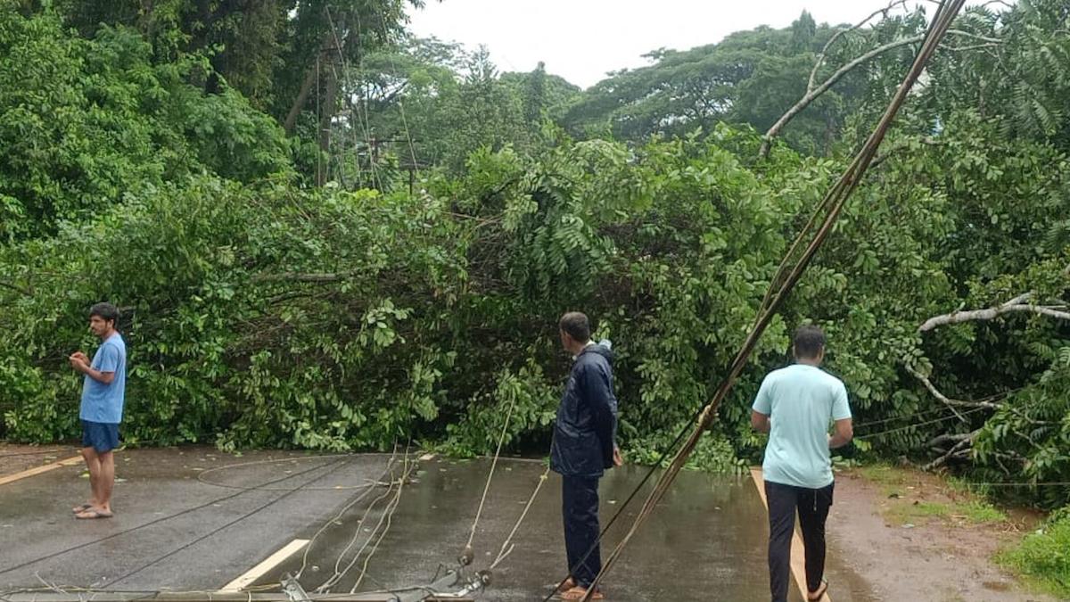 MESCOM gears up to ensure uninterrupted service during monsoon