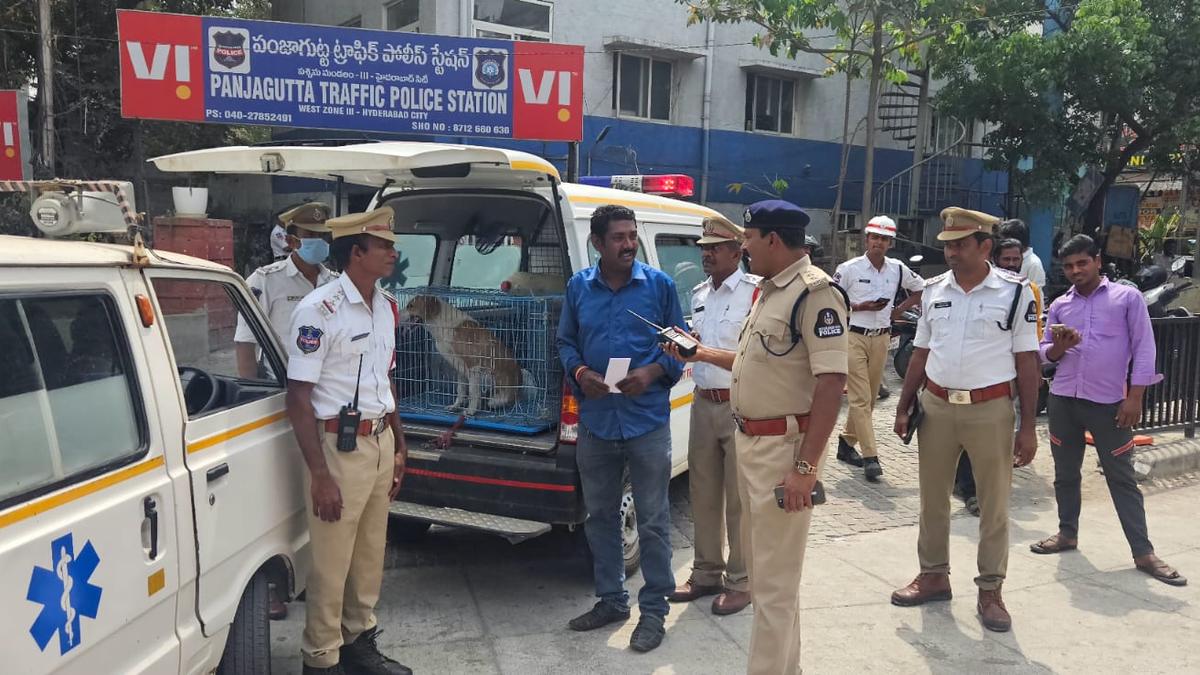 Siren-blaring ambulance carrying caged dogs seized