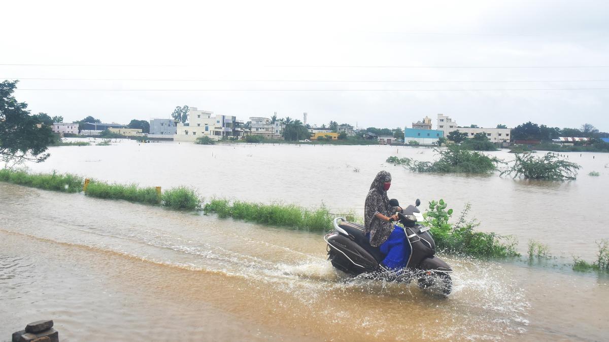 Overnight downpour batters Nellore, Tirupati districts of Andhra Pradesh