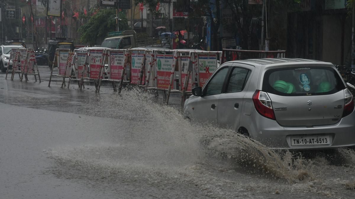 Following widespread rain, Tirunelveli and Thoothukudi Collectors caution public to stay away from Tamirabharani river